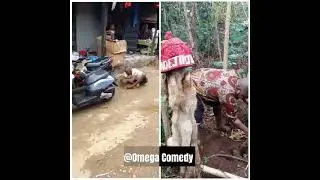 Watch and See the Work of Mkpuru Mmiri and the Message To Ndi Igbo,by Odejimjim Ariri...