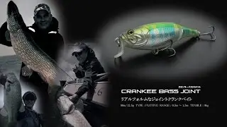 【AVICULA】Crankee Bass Joint
