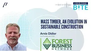The Building BITE: Mass Timber, An Evolution In Sustainable Construction