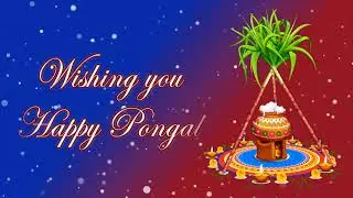 Free | Wishing You Happy Pongal | Video Background | HD