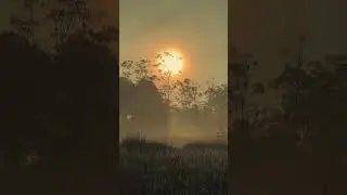 PREWEDDING TOUR BANDUNG by APP PHOTOGRAPHY #prewedding #bandung #shortvideo #youtubeshorts #reels