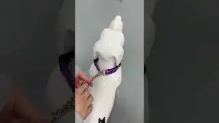 Pet Collars and Leash Factory Direct #petproducts #wholesale  #oemfactory #OEM #OEMODM #petbusiness