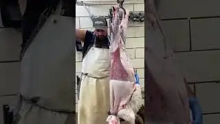 From the archives&hellip;guess the animal?? 🔪🥩 #shorts #shortsviral #shortvideo #fyp #trending #butcher