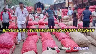 Bengaluru Pyaj Mandi Report #onion #kanda #rate #pyaj #mandi #onionrate 