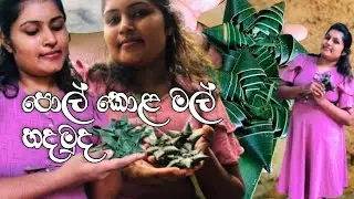 පොල් කොළ වලින් මලක් හදන හැටි බලමුද🌴🌻