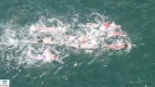Shark Island Swim 2021