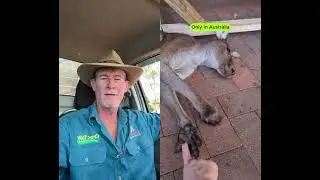 Обожаю выпить пива с Дунканом. 🇦🇺🐊 #askanyaussie #crocturnbull #australia #kangaroo