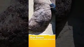 #discovery #fossil #fossils #fossiltok #poo #coprolite #prep #geology #eco #prepared #rocks #museum