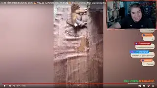 SI ME RIO PIERDO REACCIONANDO A VIDEOS CHISTOSOS