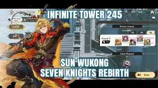 Infinite Tower 245 | Seven Knights Rebirth 