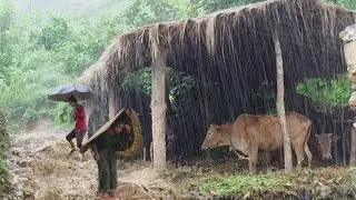 Nepali Mountain Shepherd Village Life in Heavy Rain Time | Most Peaceful & Relaxing Village Life