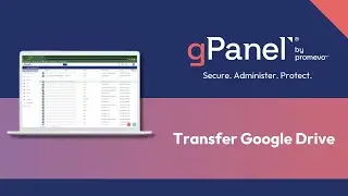 gPanel&reg; Platform Update: Transfer Google Drive
