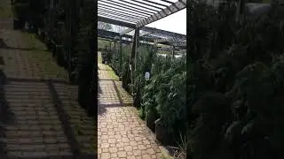 Landscape Nursery