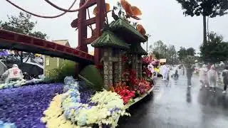 Rose Paradew