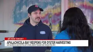 Apalachicola Oysters Back On The Market After Five Years