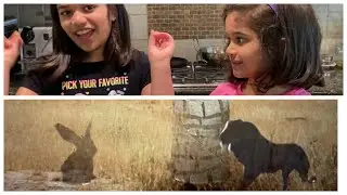Lion and the clever hare -moral story and fun facts (paper animals come to life)