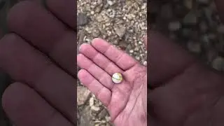Walking the Missouri River bank in Washington MO