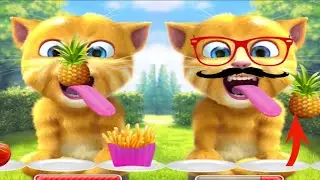 Talking ginger cat