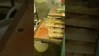 Arkansas Black Cider Pressing