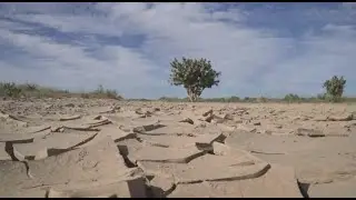 Desertificaton: Causes, Impacts, Responses (Schulfilm-Vorschau)