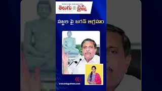 YSRCP Leadership Crisis | Jagan Puts Brakes on Sajjala's Influence | Telugu Times Digital
