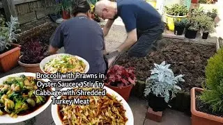 LOCK DOWN WEEK 4 | Hard at Work in the Garden + Delicious Quick & Easy Asian Food | Cat's Food