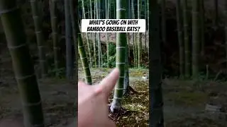 What&rsquo;s going on with bamboo baseball bats in Japan?
