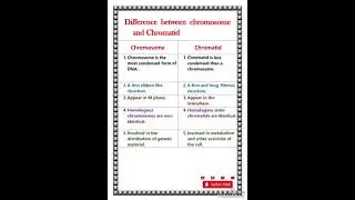 Difference between chromosome and chromatid