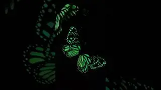 We love a good glow in the dark moment! 💚 #glowinthedark #sticker #magnet #butterfly #dinosaur #cat
