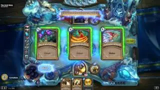 Murloc Paladin deck for defeating Lich King