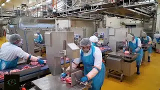 BladeStop Improving Bandsaw Safety vs for Industry Leading Meat Company Matrix Farm24