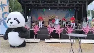 Hot News allround band