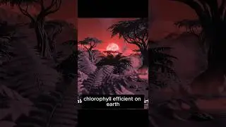 What does the vegetation of Trappist-1 e, adapted to its harsh atmosphere, look like?