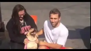 Ice Bucket Challenge Compilation 2014
