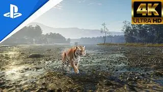 theHunter Sundarpatan Nepal Hunting Reserve | Open World Call of the Wild Gameplay