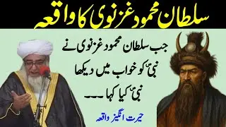 Sultan Mahmud Ghaznavi ka Waqia jab Mahmood Ghaznavi Ne Nabi ko khuwab Me Dekha | Mufti Zarwali Khan