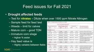 Backgrounding feeds and rations Fall 2021