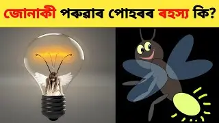 Light of Firefly || জোনাকী পৰুৱাৰ পোহৰৰ ৰহস্য কি?