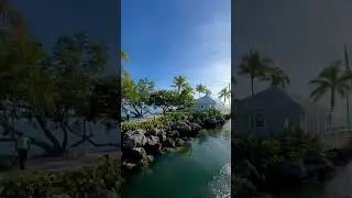 Ocean Reef Florida Keys #oceanreef #floridakeys #shorts