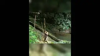 🏞️ 15 Days Alone in the Wild &mdash; Building a Cliff Shelter Beside a Roaring Waterfall 🌊🛠️