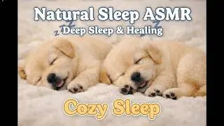 Natural Sleep ASMR &ndash; Cozy Sleep, Deep Sleep, Healing Energy & Calm Sounds