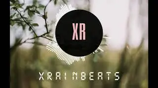 [FREE] XR 