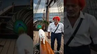#&ldquo;Piers Morgan Sails for One Piece!