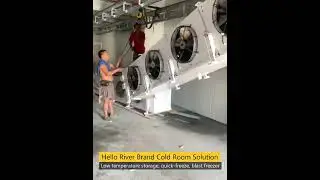 Cold room/Walk in freezer storage High Efficiency Customized Freezing Room
