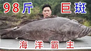 98斤的巨大龙趸，小文哥山林间处理引得全村人观看，出锅后爆香【小文哥吃吃吃】
