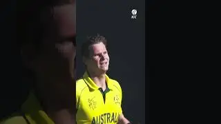 Steve Smith at his brilliant best 🤩 #cricket #cricketshorts #ytshorts