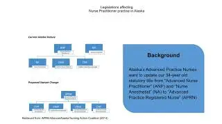 Nurse Practice Act Analysis
