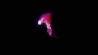 Solace EP