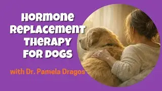 Hormone Replacement Therapy for Dogs