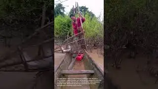 Traditional Fish Trap Catch: Man Retrieves Large Fish from River